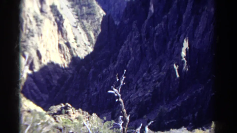 Colorado 1967 8mm frame of a dead tree in foreground brush, backed by steep canyon rock and strong shadow.