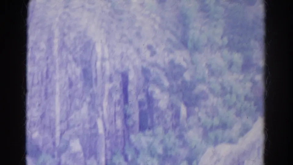 Blue-purple 8mm frame from Colorado showing blurred evergreen growth, rock, and a steep wooded slope from above.