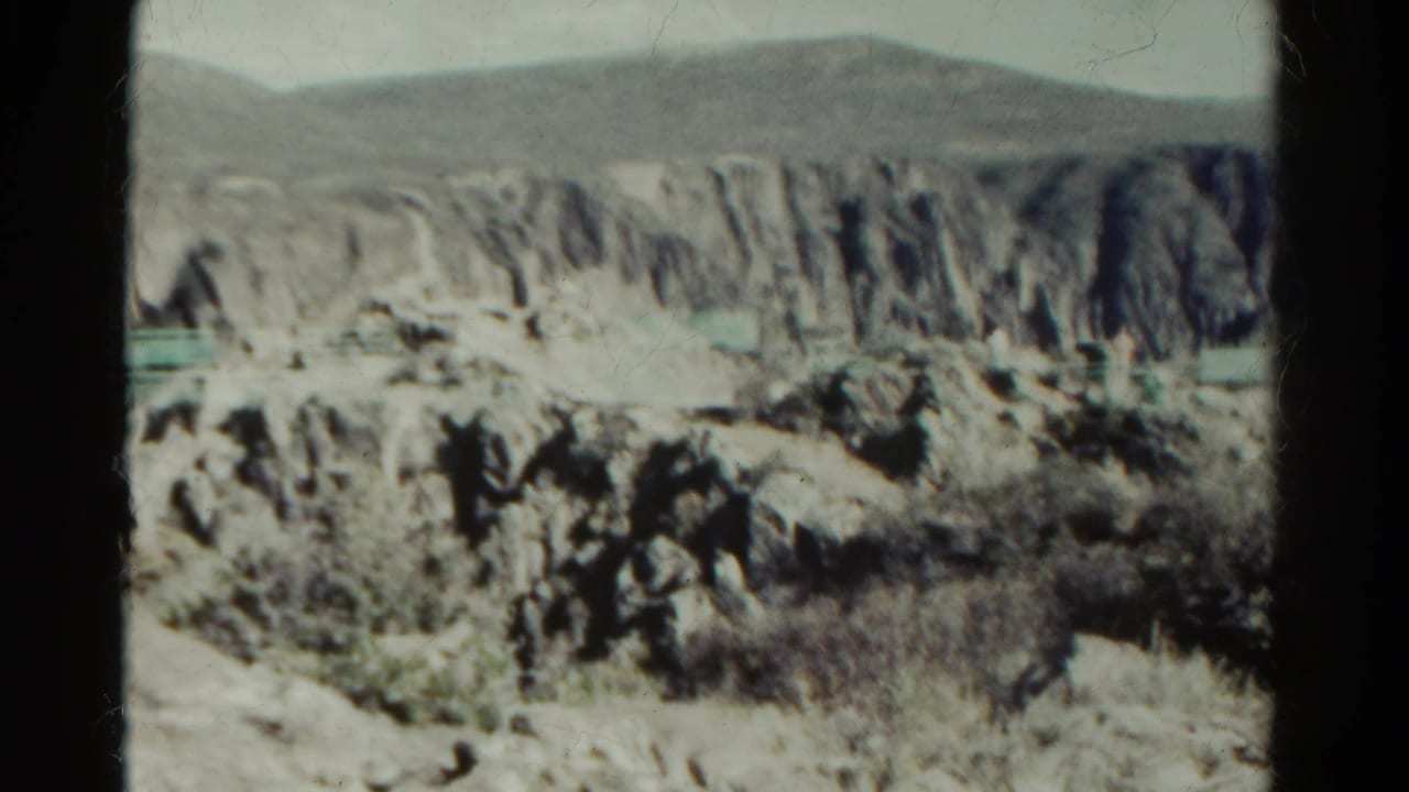 Pale canyon wall and rocky foreground with scrub plants.