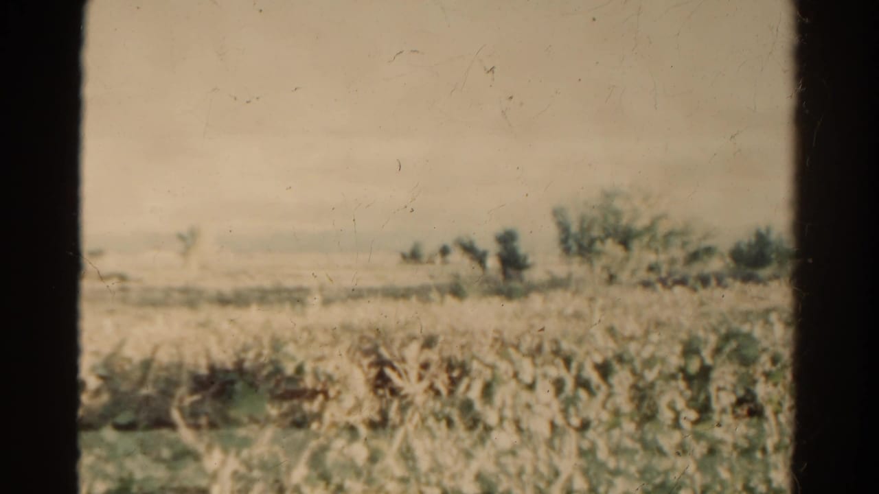 1967 Colorado countryside view with low plants in the foreground, open fields, distant trees, and faint hills under a pale sky.