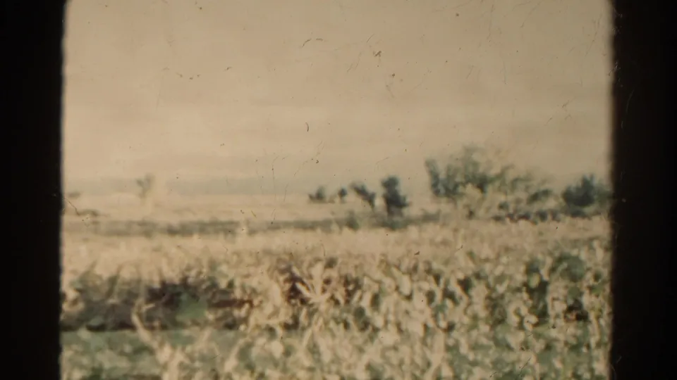 1967 Colorado countryside view with low plants in the foreground, open fields, distant trees, and faint hills under a pale sky.