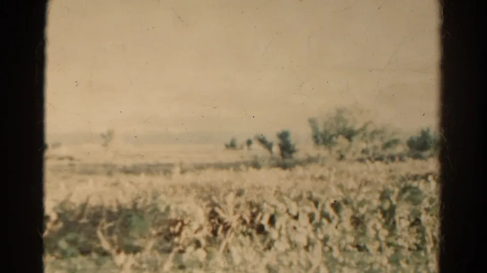 1967 Colorado 8mm frame with dry roadside vegetation in the foreground and open rural land beyond, filmed from a moving vehicle.