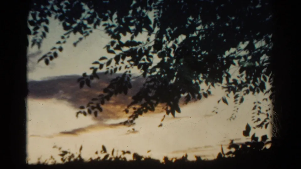 1967 Colorado 8mm frame showing overhanging tree branches, dark cloud bands, and warm evening light near the horizon.