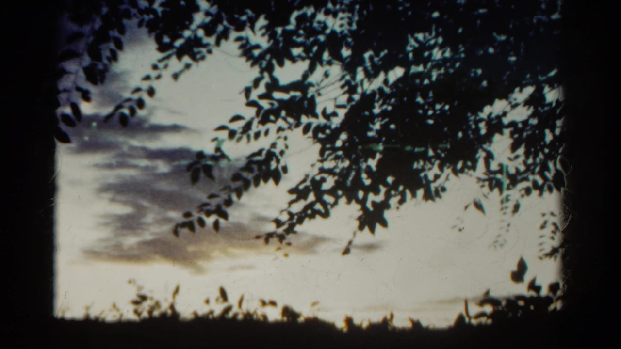 1967 Colorado home-movie frame with foreground tree foliage silhouetted against a muted sky and gray clouds.