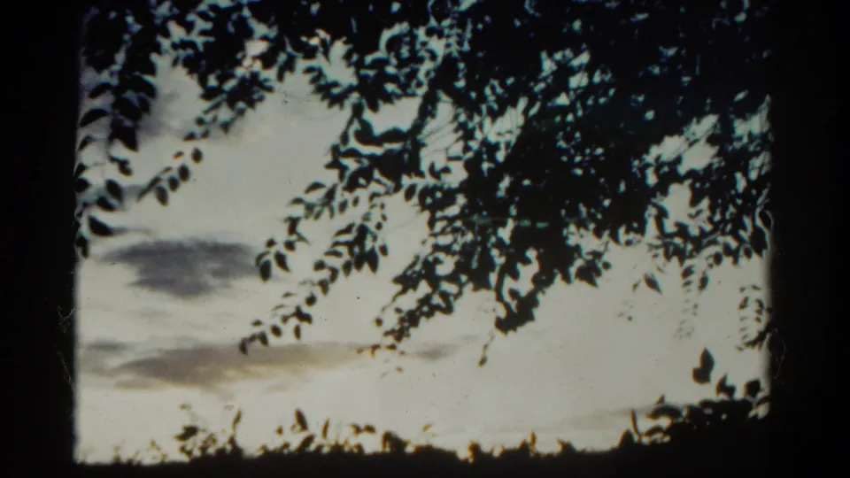 1967 Colorado 8mm still showing leafy tree silhouettes across a bright, cloudy sky with muted color and film grain.