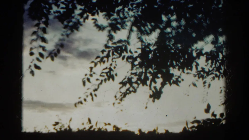 1967 Colorado home-movie frame with dark foliage at the top and side of a pale sky marked by soft gray clouds.
