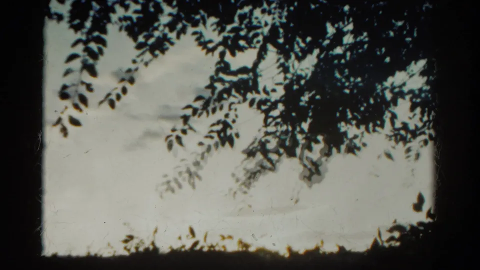 1967 Colorado 8mm view of tree leaves and branches crossing a washed, clouded sky with visible small-gauge film texture.