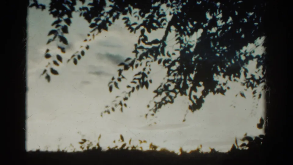 1967 Colorado 8mm frame with silhouetted foliage, a pale clouded sky, and a low dark horizon line near the bottom.