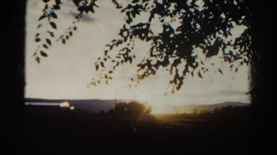 1967 Colorado 8mm frame showing dark tree branches over a pale sky, with distant horizon and a bright flare near the lower right.