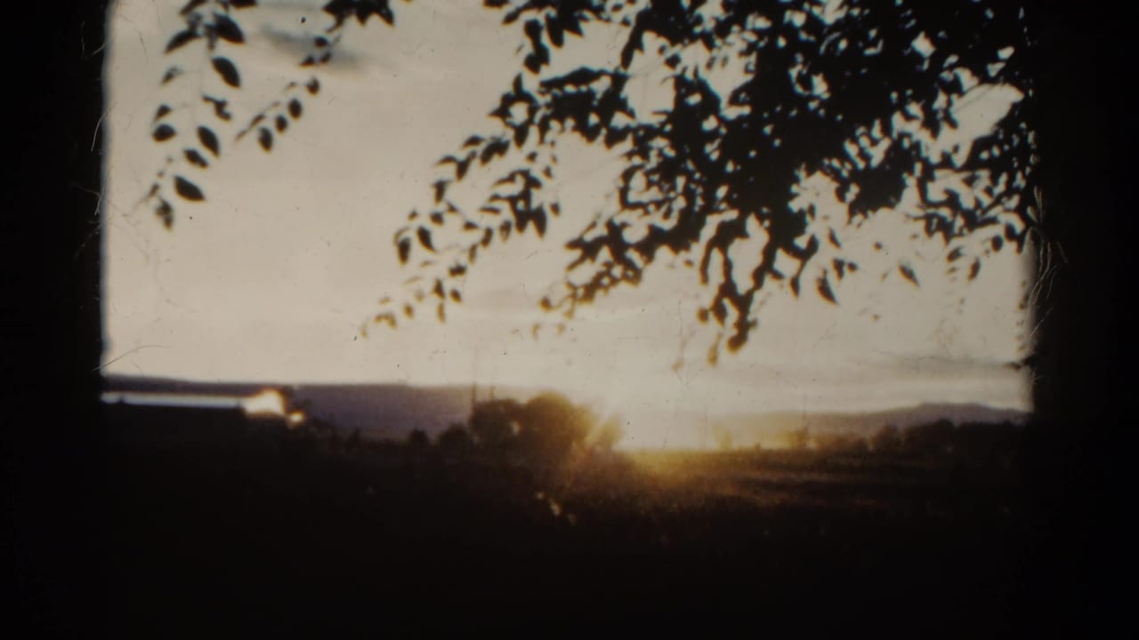 1967 Colorado home-movie frame showing low sunset light over rural hills beneath silhouetted tree branches.