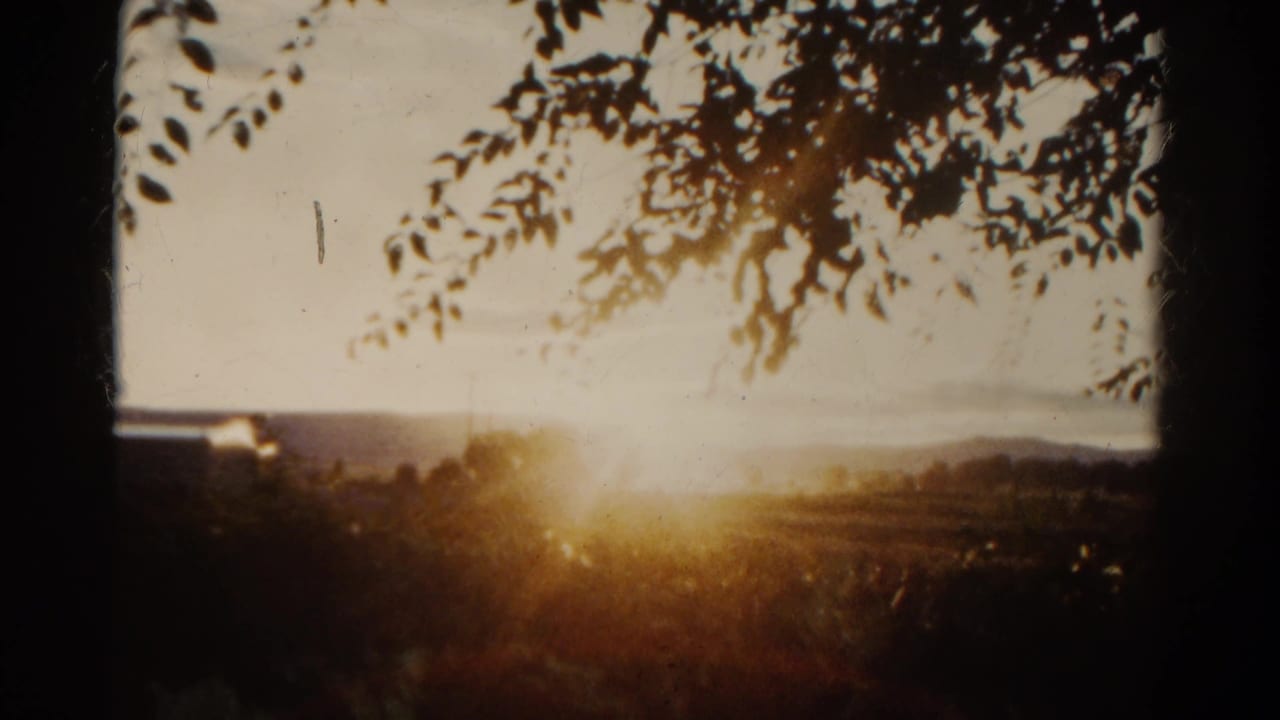 1967 Colorado 8mm frame with strong golden sun flare, distant hills, and dark leaves along the top edge.