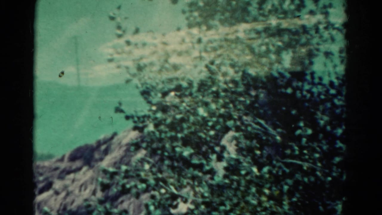 Rocky slope and leafy tree canopy under a blue-green sky.