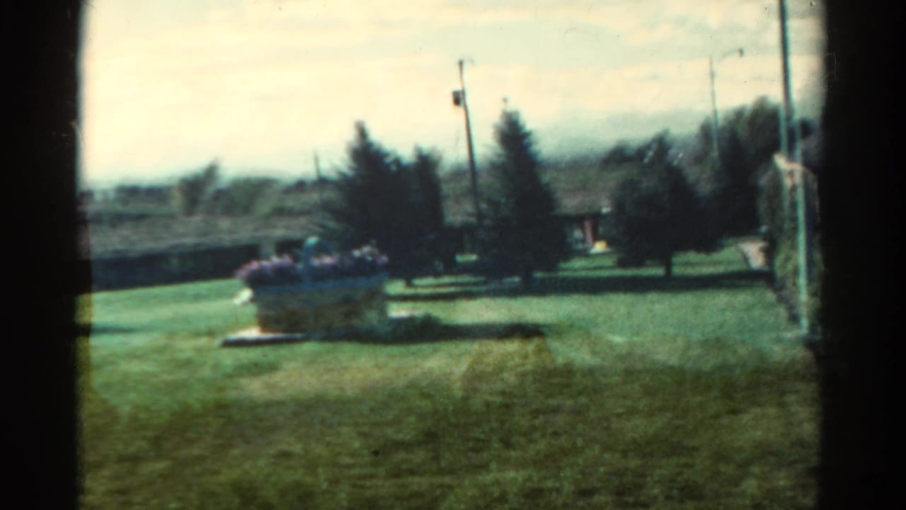 1967 Colorado home-movie frame looking through a window at a green suburban yard with evergreen trees and a flower planter.