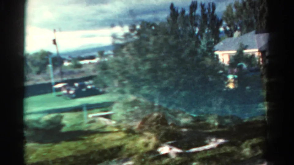 1967 Colorado residential yard framed by a large tree, with lawn, planter, parked car, and a house partly visible.