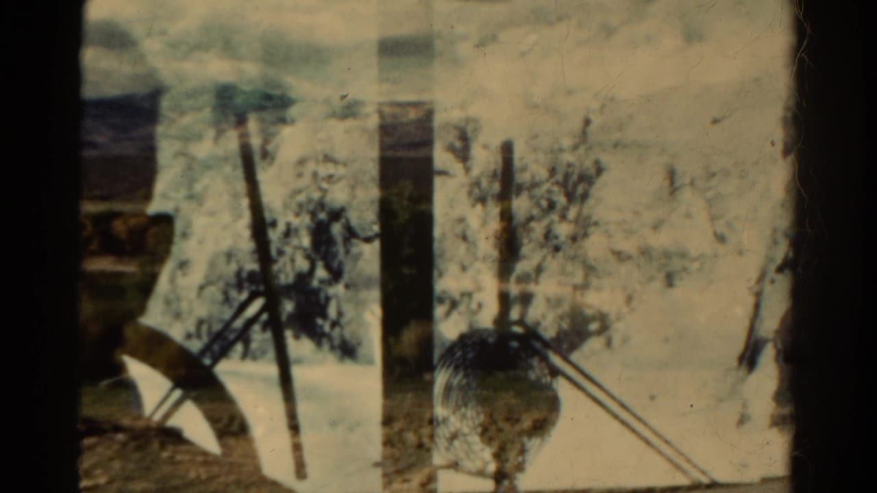 Moving bus view past roadside posts and pale ground with interior edges visible.