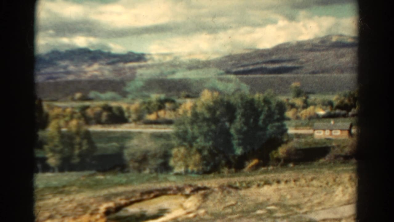 Distant mountains and a tree-lined rural field viewed through a dark central divider.