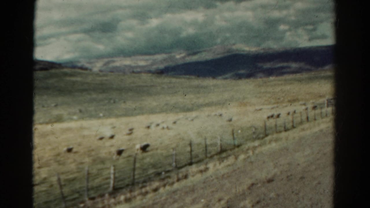 Sheep graze in a fenced open field below cloudy hills.