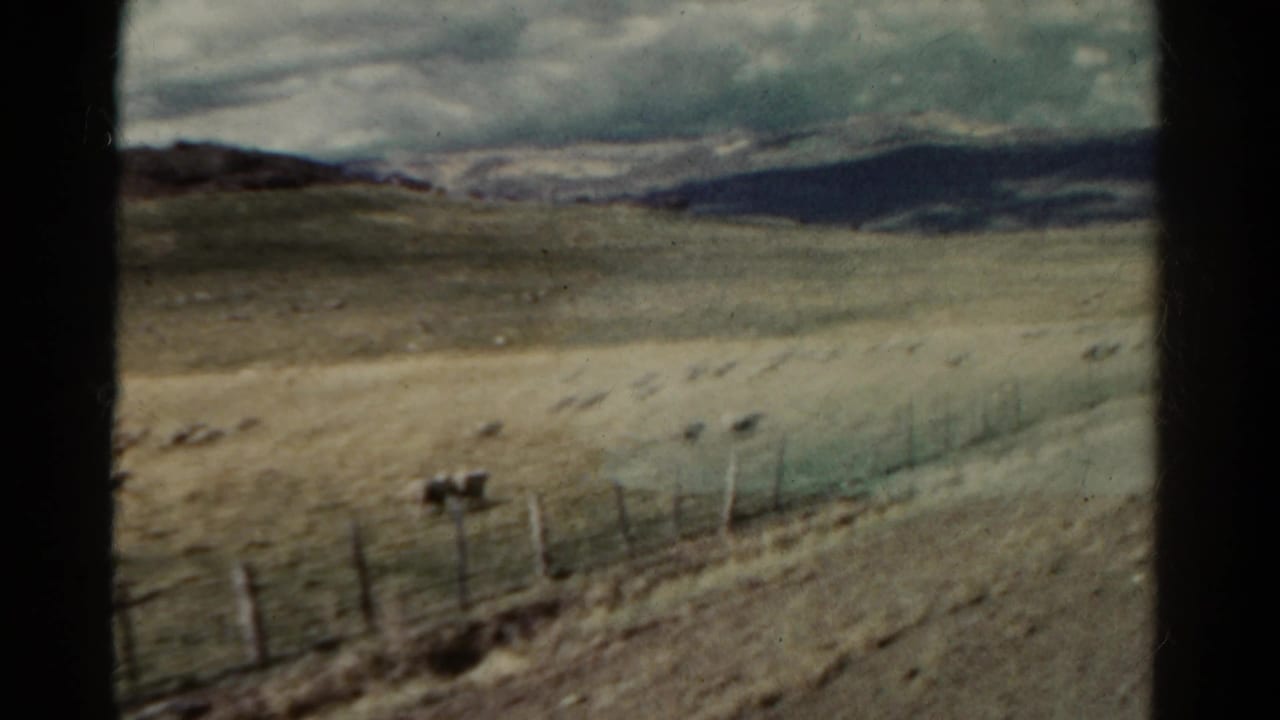 A wire fence crosses dry pasture with sheep and distant hills.