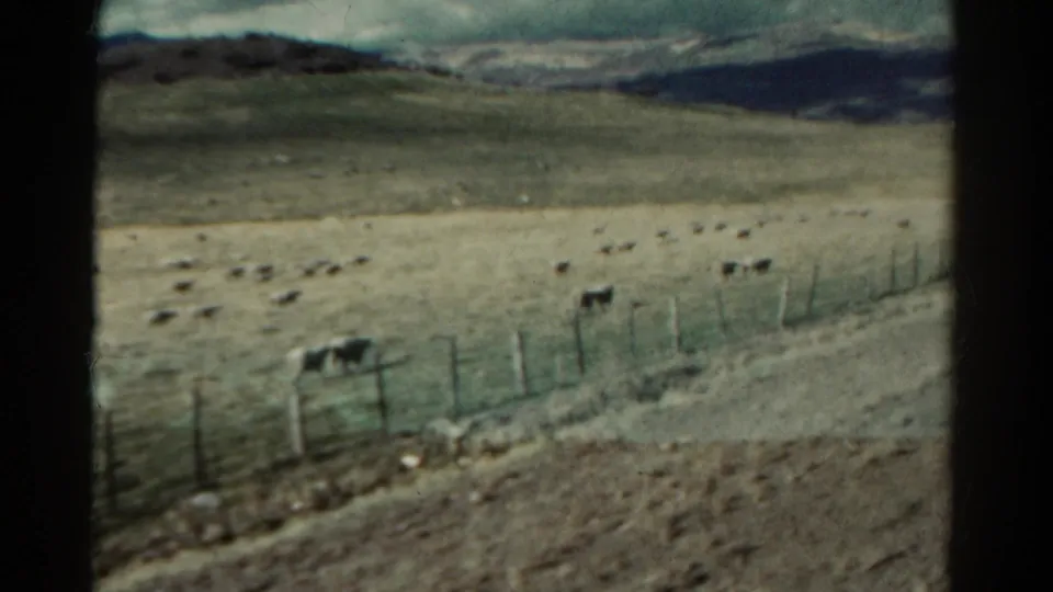Small-gauge 1967 Colorado frame with sheep near a wire fence, open grazing land, soft hills, and muted home-movie color.