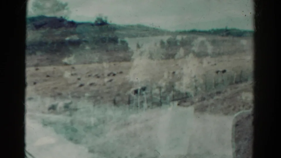 Faded 1967 Colorado 8mm frame showing sheep in a fenced pasture with hills behind and light exposure flare in the foreground.
