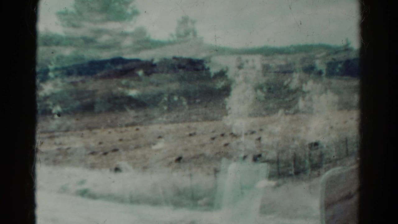 Dry field with trees, low hills, fence posts, and a bright reflected shape.
