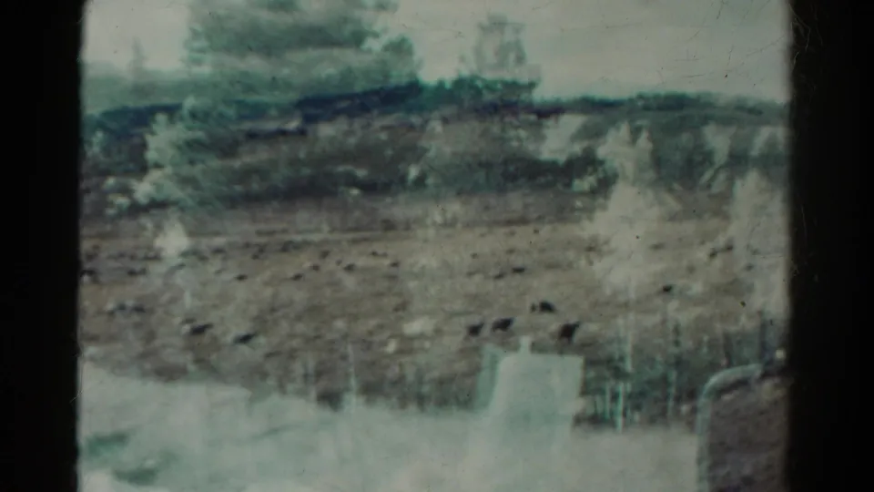 1967 Colorado 8mm frame showing a soft, moving view of dry land, pine trees, scattered rocks, fencing, and reflections.