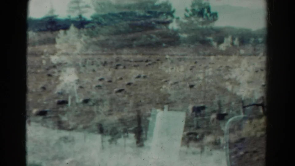 1967 Colorado home-movie frame of a dry rural field with rocks, pine trees, fence posts, and visible window reflections.