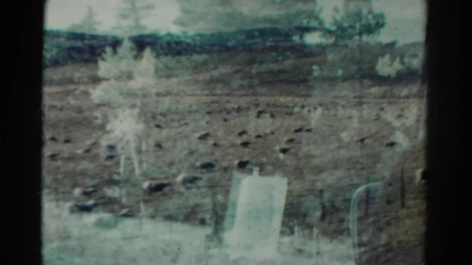 1967 Colorado 8mm frame showing scattered sheep on arid grazing land, with fence posts, distant hills, and cloudy sky.