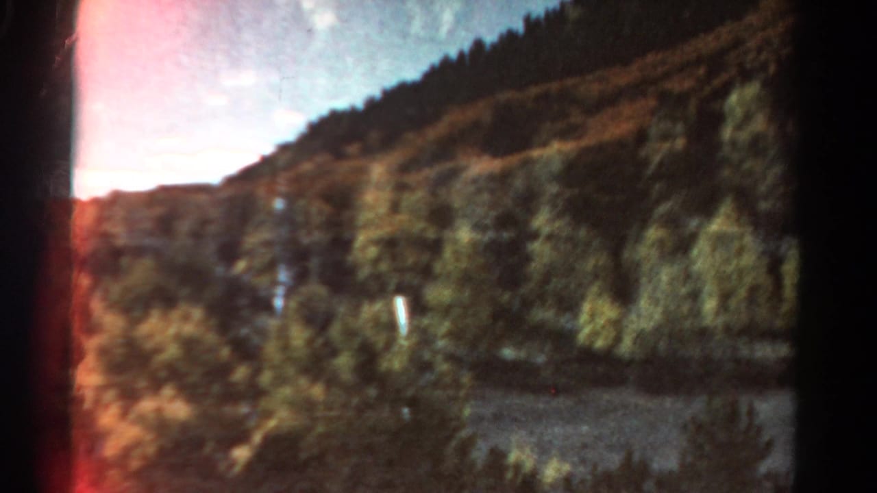 Forested mountain hillside with warm light leak and dark 8mm frame edges.