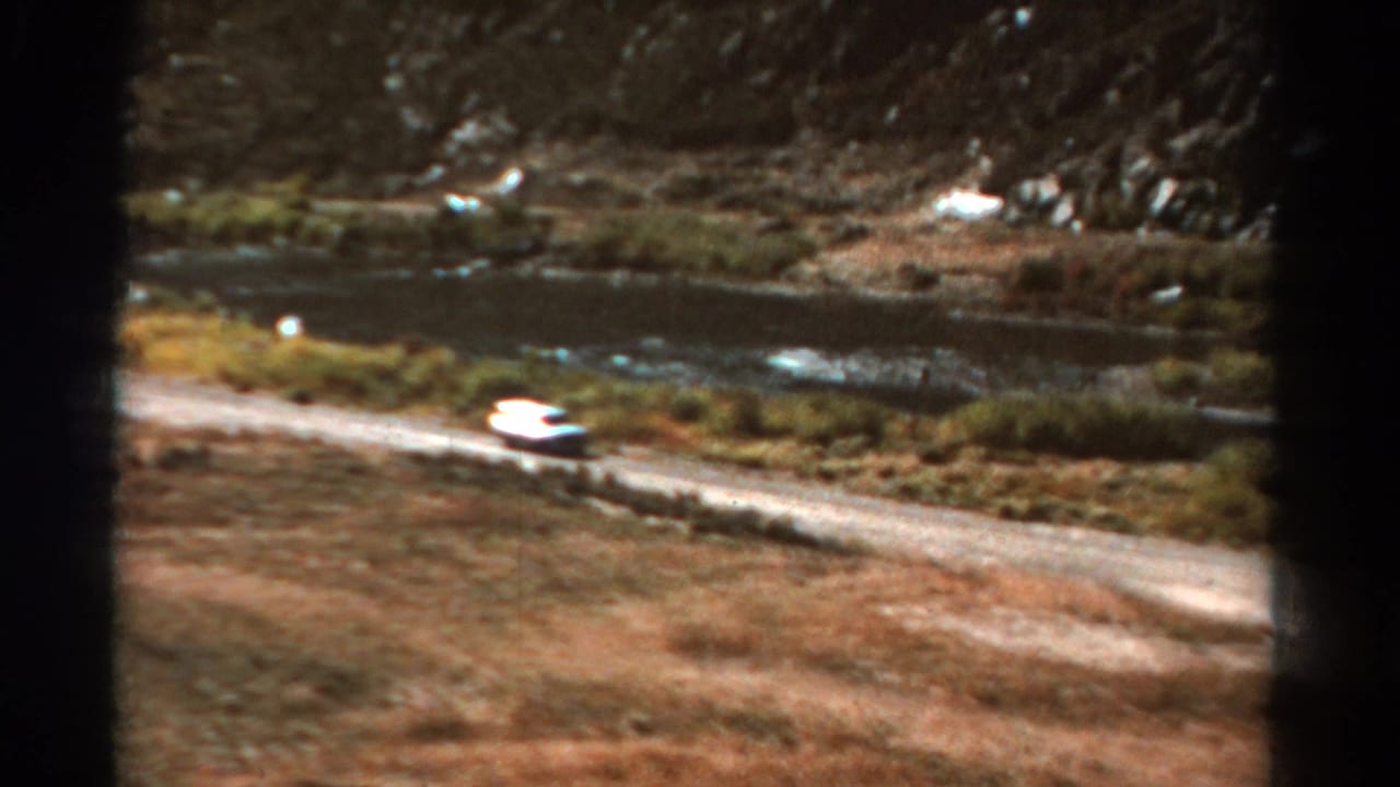 White car continues along the roadside near water and low vegetation.