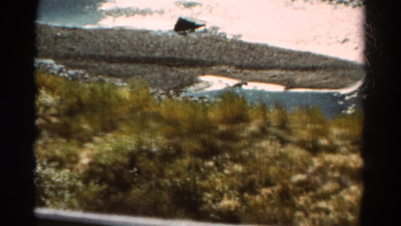 Bright water and gravel shoreline seen above blurred grasses in the foreground.