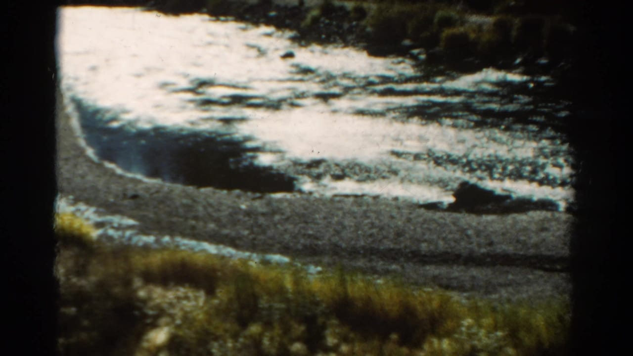 1967 Colorado 8mm frame showing bright moving water, dark rocks, shoreline gravel, and roadside grass during a slow drive.