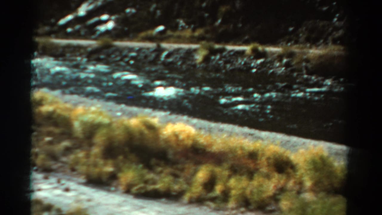 Stream running beside a road with grasses, rocky bank, and dark hillside beyond.