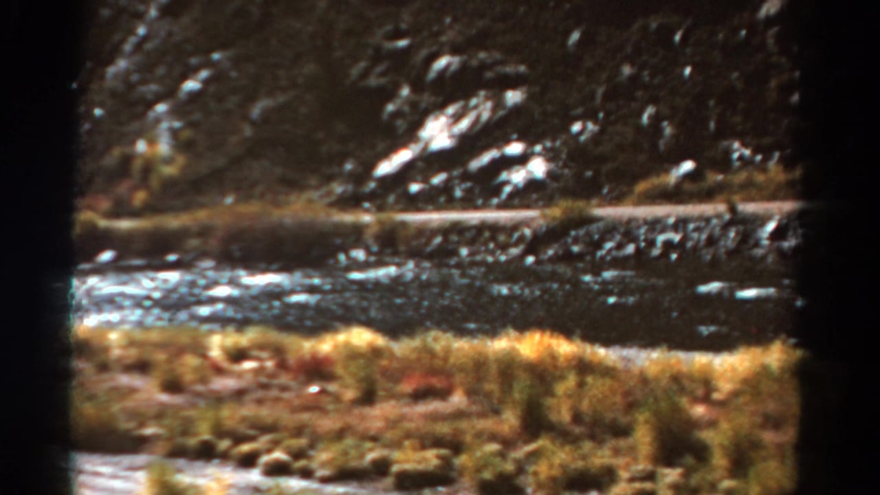 Riverside grasses and rocky slope with water crossing the middle of the frame.