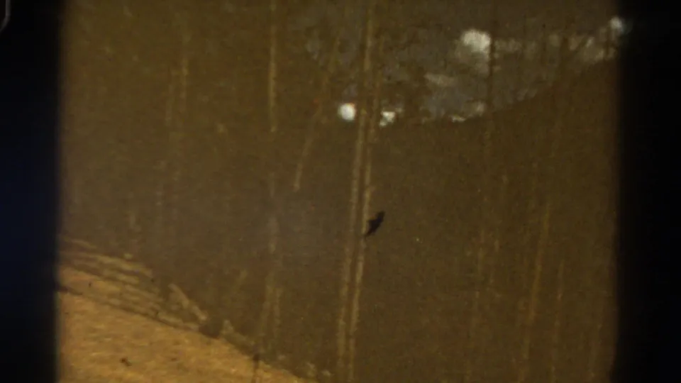A darker 1967 Colorado 8mm frame appears to show nearby roadside trees or brush passing close to the moving camera.