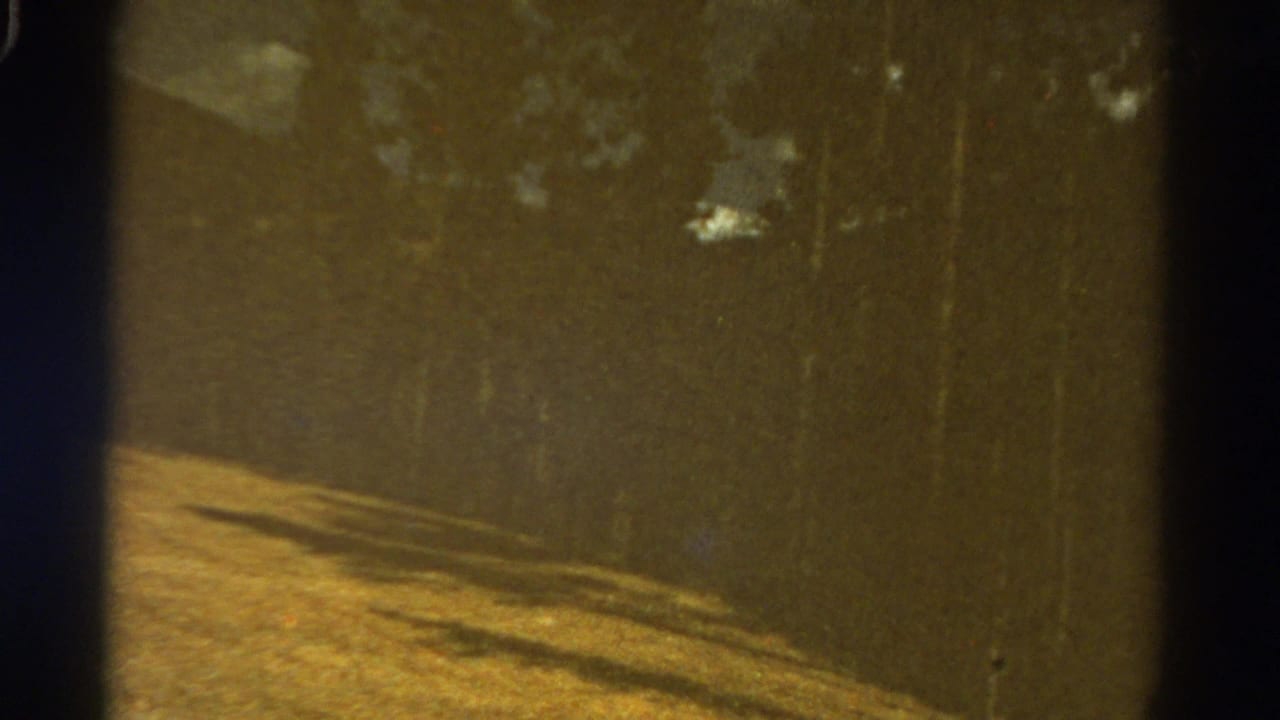 Golden hillside and dark trees with hazy mountain shapes in the background.