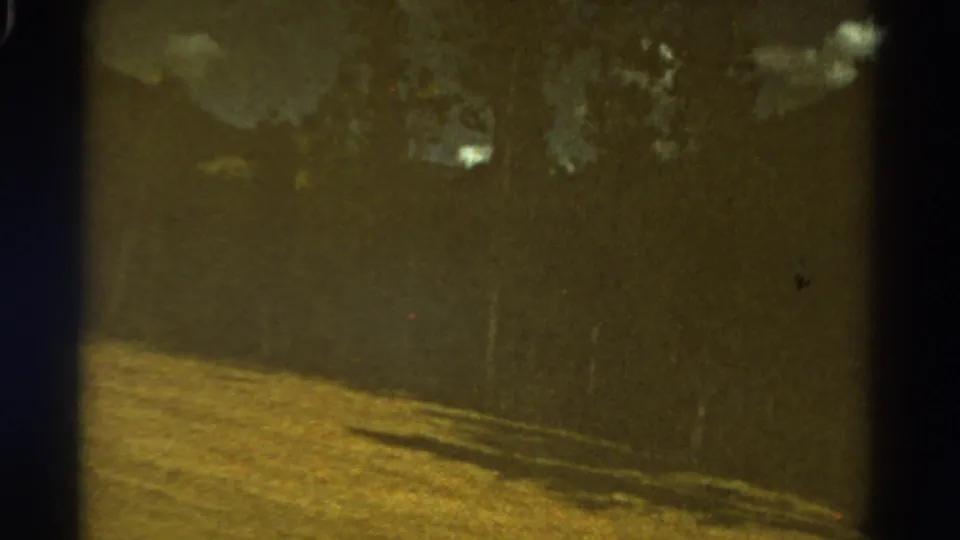 A 1967 Colorado home-movie frame shows sunlit grass below a shadowed wooded slope, with visible 8mm grain and scratch marks.