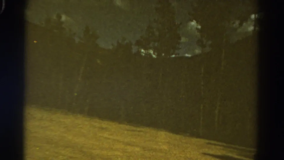 1967 Colorado landscape frame with a tree-covered hillside, golden grass foreground, faint mountain contour, and aged 8mm film texture.