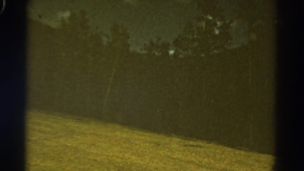 Blurred rural field and dark tree line seen through an 8mm film frame.