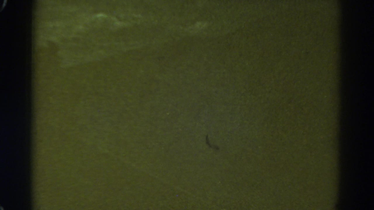 1967 Colorado 8mm frame with an out-of-focus green cast, dark film edges, dust marks, and faint sky-like light patches.
