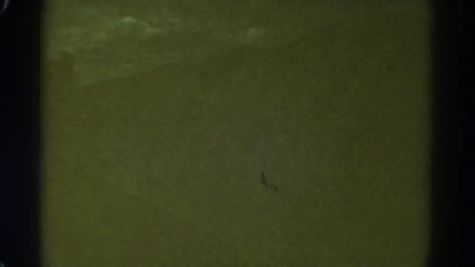 1967 Colorado 8mm frame with an out-of-focus green cast, dark film edges, dust marks, and faint sky-like light patches.