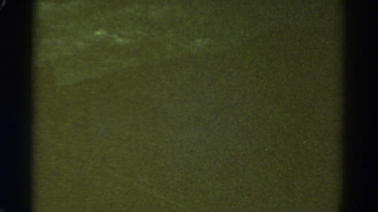Greenish blurred frame with dark side borders and faint pale marks near the top.