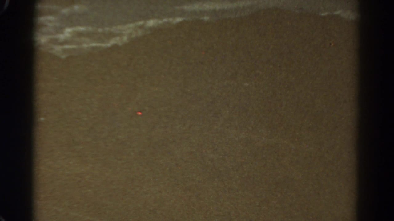 Sparse brown surface with a light streak along the top edge and dark film borders.