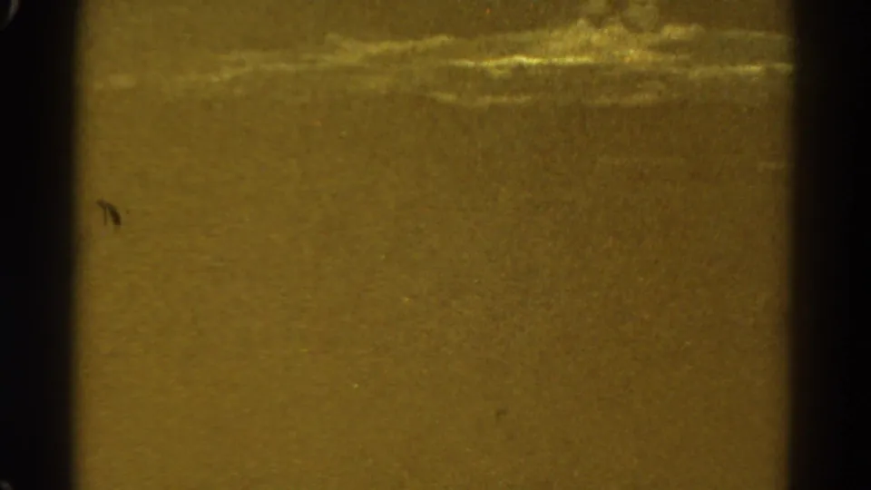Indistinct 8mm frame with yellow-brown cast, heavy grain, a dark vertical border, and pale streaks across the upper area.