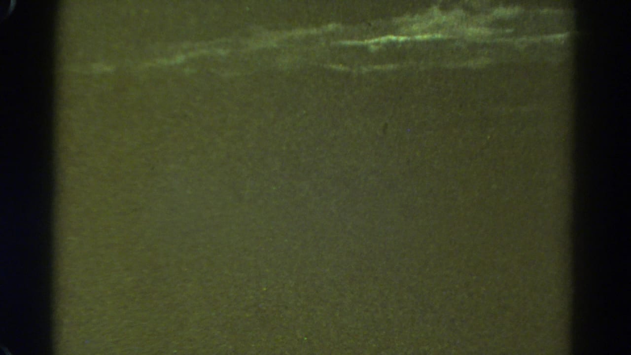 1967 8mm Colorado frame dominated by dark green exposure, black film borders, and minimal discernible outdoor detail.