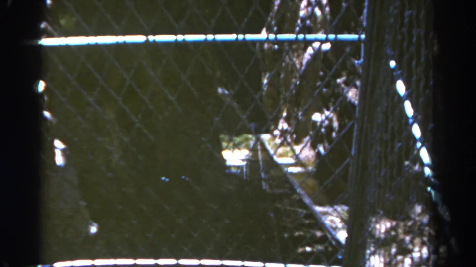 1967 Colorado 8mm frame showing chain-link mesh, a vertical fence post, trees, and bright patches beyond the fence.