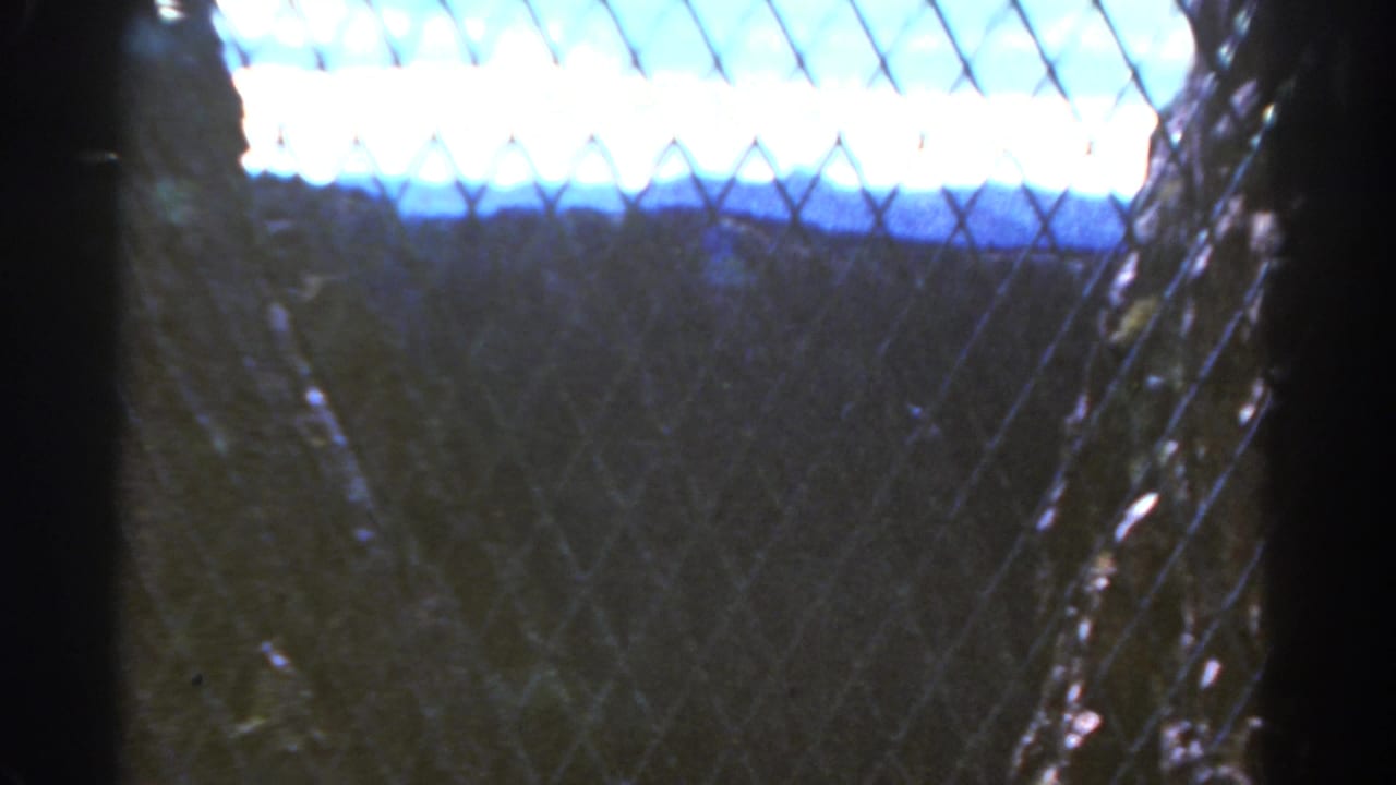 Dark vertical gate post and chain-link fencing obscure a shadowed rock or concrete drop.