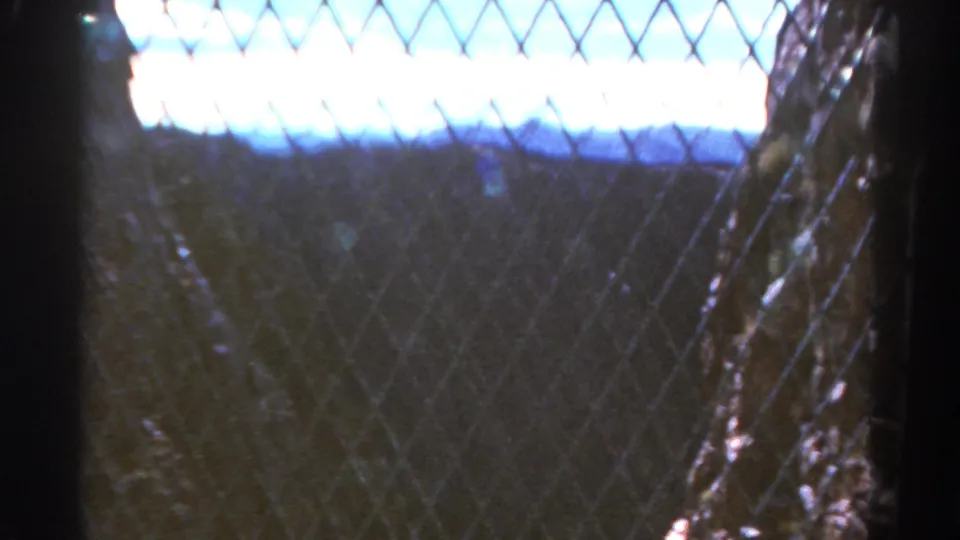 1967 Colorado 8mm frame showing a visitor's obstructed view through fencing into a mountain shaft or elevator area.