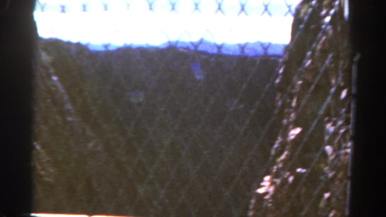 Dark view through chain-link fencing with a bright sky and distant landscape beyond.