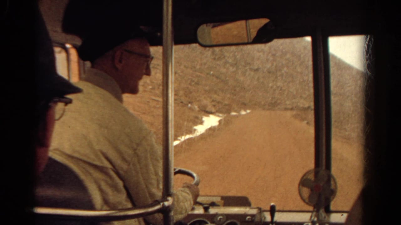 Driver profile at the wheel with dashboard fan and dirt road visible ahead.